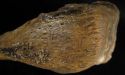 Prehistoric cannibals at Kents Cavern