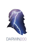Dig returns to Kents Cavern
