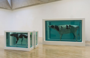 Hirst's Controversial Art coming to Torbay