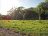 Geoquest Day 3 - Evening performance walk, Occombe Farm, Paignton