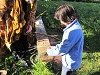 Geoquest Day 3 - Evening performance walk, Occombe Farm, Paignton