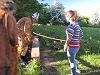 Geoquest Day 3 - Evening performance walk, Occombe Farm, Paignton