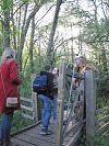 Geoquest Day 3 - Evening performance walk, Occombe Farm, Paignton
