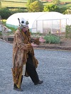Geoquest Day 3 - Evening performance walk, Occombe Farm, Paignton