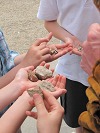 Geoquest Day 4 - Children from Oldway Primary School meet the Geotrio at Oldway Mansion, Paignton
