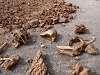 Bone fragments are clearly visible
