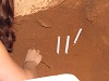 The positioned of every find is marked by a white stick.