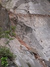 Geoquest Day 6 - Evening performance walk, Brixham Breakwater to Berry Head