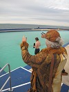 Geoquest Day 6 - Evening performance walk, Brixham Breakwater to Berry Head