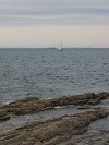 Geoquest Day 6 - Evening performance walk, Brixham Breakwater to Berry Head