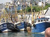 Geoquest Day 7 - Brixham and back across the sea