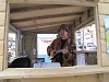 Geoquest Day 7 - Brixham and back across the sea