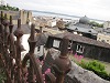 Geoquest Day 7 - Evening performance walk, Torquay Harbour to Torquay Museum