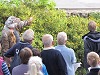 Geoquest Day 7 - Evening performance walk, Torquay Harbour to Torquay Museum