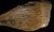Prehistoric cannibals at Kents Cavern