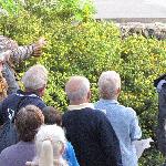 Geoquest Day 7 - Evening performance walk, Torquay Harbour to Torquay Museum